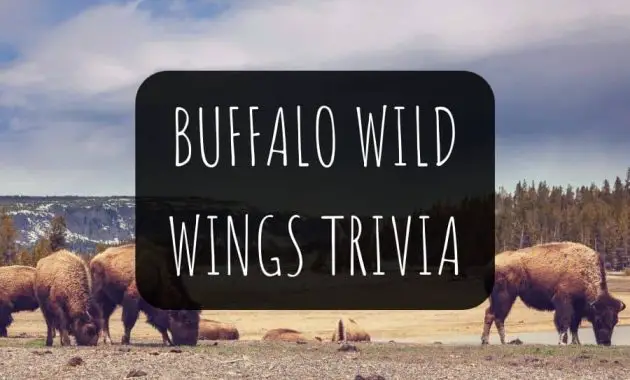 Câu hỏi và câu trả lời bên lề về Buffalo Wild Wings