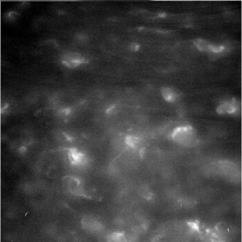 Khung cảnh bầu khí quyển của Sao Thổ này đã được tàu vũ trụ Cassini của NASA chụp được trong chuyến lặn Grand Final đầu tiên của nó qua hành tinh này vào ngày 26 tháng 4 năm 2017. Tín dụng: NASA/JPL-Caltech/Viện Khoa học Vũ trụ